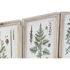 Картина DKD Home Decor Цветы, растения и деревья Shabby Chic (24 x 2 x 34.5 см) (12 шт.) цена и информация | Картины | 220.lv