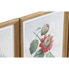 Glezna DKD Home Decor Ziedi, augi un koki Shabby Chic (40 x 2 x 50 cm) (9 gb.) cena un informācija | Gleznas | 220.lv