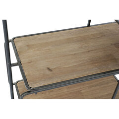 Мебель для прихожей DKD Home Decor, коричневый (44 x 100 x 183 см) цена и информация | Вешалки для одежды | 220.lv