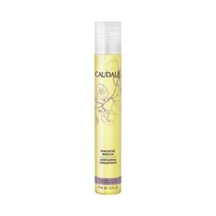 Sausā iedeguma eļļa SPF 30 (Beautifying Suncare Oil), 150 ml cena un informācija | Sauļošanās krēmi | 220.lv