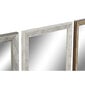 Sienas spogulis DKD Home Decor Stikls Dabisks Pelēks Brūns Balts PS 4 gb. Augu lapa (36 x 2 x 95,5 cm) cena un informācija | Spoguļi | 220.lv