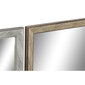 Sienas spogulis DKD Home Decor Stikls Dabisks Pelēks Brūns Tumši pelēks PS 4 gb. Augu lapa (56 x 2 x 76 cm) cena un informācija | Spoguļi | 220.lv