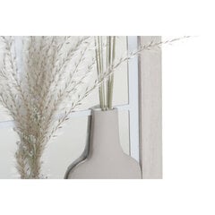Настенное зеркало DKD Home Decor Кувшин, бежевый MDF смола Cottage (35 x 10 x 50 см) цена и информация | Зеркальца | 220.lv