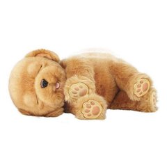 Interaktīvs Mājdzīvnieks Little Live Pets Sleepy Puppy Famosa cena un informācija | Attīstošās rotaļlietas | 220.lv