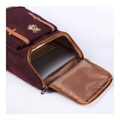 Школьный рюкзак Harry Potter (29 x 45 x 14 cм) цена и информация | Школьные рюкзаки, спортивные сумки | 220.lv