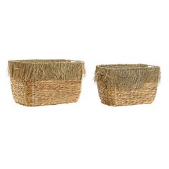 Grozs DKD Home Decor Brūns Bārkstis (35 x 25 x 24 cm) (2 pcs) (40 x 30 x 26 cm) цена и информация | Ящики для вещей | 220.lv