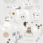 Gultas pārklājs (sega) Panzup Dogs 2 (250 x 260 cm) (Gulta 150/160) cena un informācija | Gultas pārklāji, pledi | 220.lv
