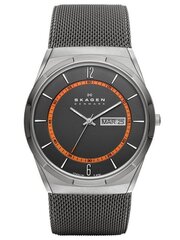 Vīŗiešu pulkstenis Skagen SKW6007 цена и информация | Мужские часы | 220.lv