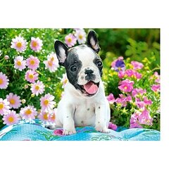 Puzle Castorland French Bulldog Puppy 500 detaļas цена и информация | Пазлы | 220.lv