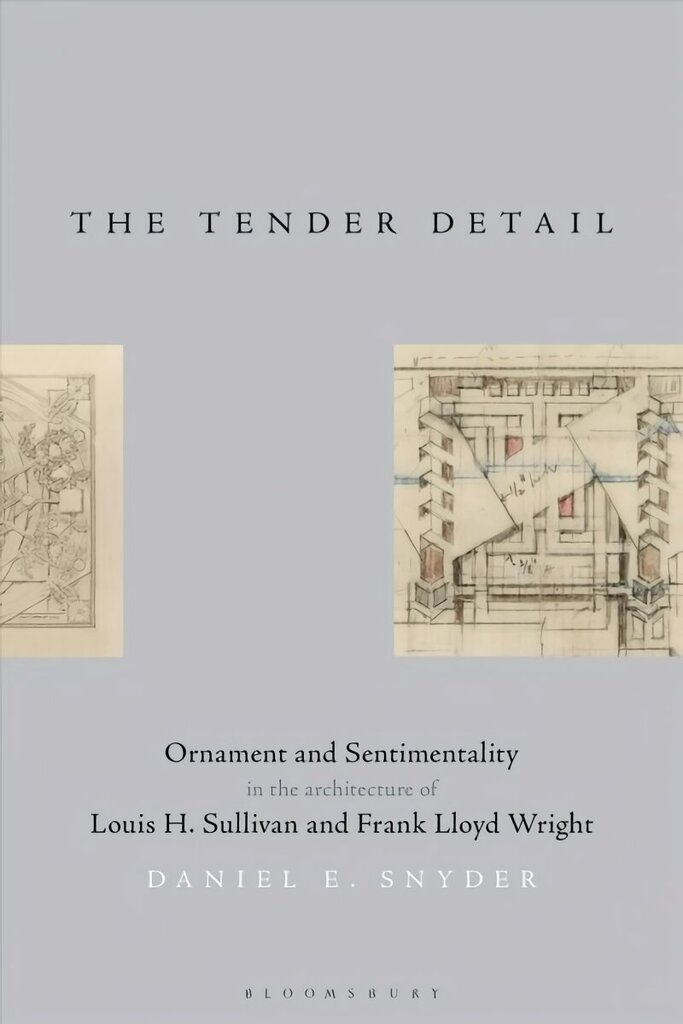 Tender Detail: Ornament and Sentimentality in the Architecture of Louis H. Sullivan and Frank Lloyd Wright cena un informācija | Grāmatas par arhitektūru | 220.lv