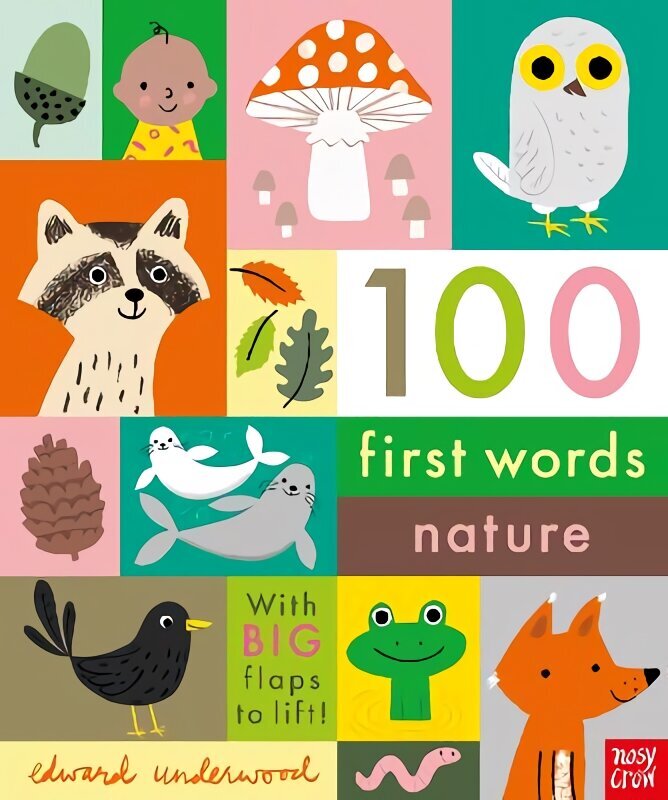 100 First Words: Nature cena un informācija | Grāmatas mazuļiem | 220.lv