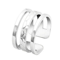 Pierre Lannier Минималистское стальное кольцо Ariane BJ07A310 цена и информация | Кольца | 220.lv