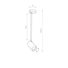 Griestu lampa Nowodvorski Mono Long M 7725 цена и информация | Потолочные светильники | 220.lv