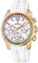 Festina Boyfriend Rainbow 20611/2 cena un informācija | Sieviešu pulksteņi | 220.lv