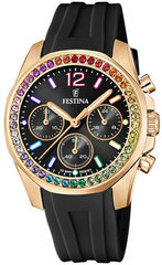 Festina Boyfriend Rainbow 20611/3 цена и информация | Женские часы | 220.lv