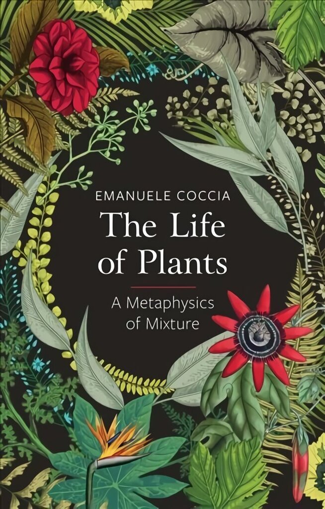 Life of Plants, A Metaphysics of Mixture: A Metaphysics of Mixture cena un informācija | Ekonomikas grāmatas | 220.lv