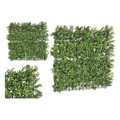 Dekoratīvs Augs Zaļš Plastmasa (50 x 5 x 50 cm) cena un informācija | Mākslīgie ziedi | 220.lv