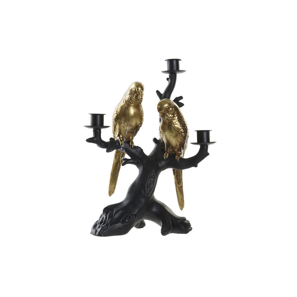 Lustra DKD Home Decor Melns Bronza Sveķi Papagailis (22,5 x 13 x 29,5 cm) cena un informācija | Sveces un svečturi | 220.lv