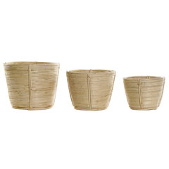 Podu komplekts DKD Home Decor Dabisks Rotangpalma (25 x 25 x 20 cm) (3 pcs) cena un informācija | Puķu podi | 220.lv