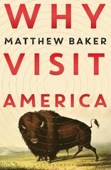 Why Visit America цена и информация | Книги по экономике | 220.lv