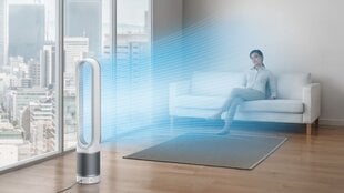 Воздушный вентилятор Dyson Pure Cool TP00 цена и информация | Вентиляторы | 220.lv