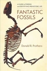 Fantastic Fossils: A Guide to Finding and Identifying Prehistoric Life цена и информация | Книги о питании и здоровом образе жизни | 220.lv