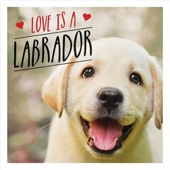 Love is a Labrador: A Lab-Tastic Celebration of the World's Favourite Dog cena un informācija | Grāmatas par fotografēšanu | 220.lv