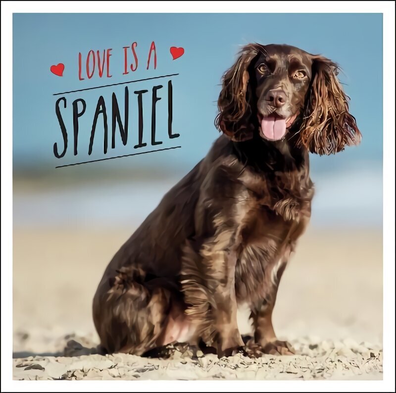 Love is a Spaniel: A Dog-Tastic Celebration of the World's Most Lovable Breed цена и информация | Grāmatas par fotografēšanu | 220.lv
