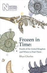 Frozen in Time: Fossils of the United Kingdom and Where to Find Them цена и информация | Книги о питании и здоровом образе жизни | 220.lv