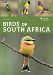 Birds of South Africa cena un informācija | Grāmatas par veselīgu dzīvesveidu un uzturu | 220.lv