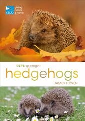 RSPB Spotlight Hedgehogs цена и информация | Книги о питании и здоровом образе жизни | 220.lv