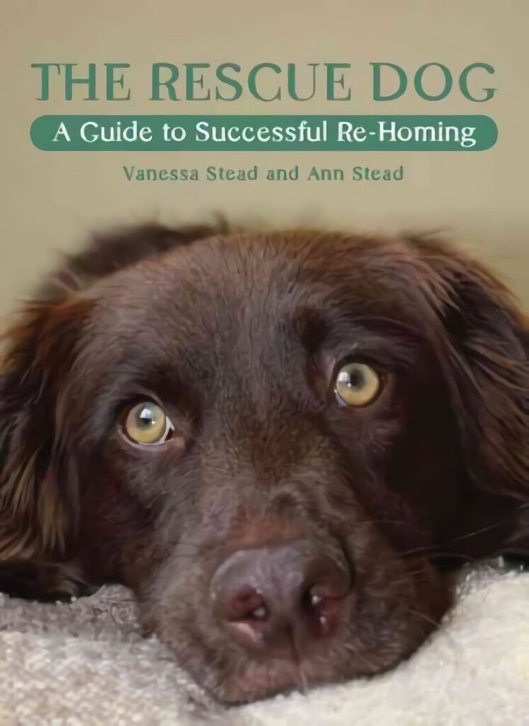 Rescue Dog: A Guide to Successful Re-homing cena un informācija | Enciklopēdijas, uzziņu literatūra | 220.lv