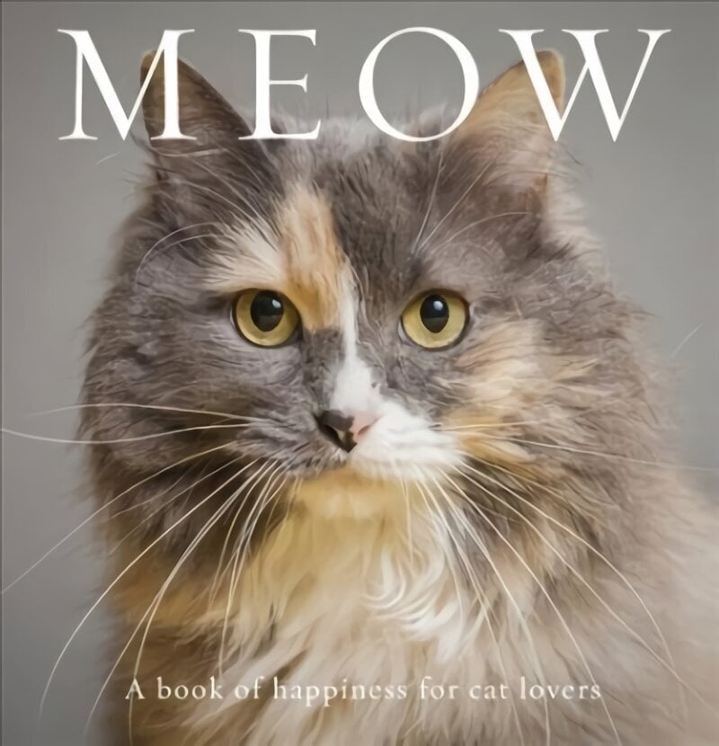 Meow: A Book of Happiness for Cat Lovers cena un informācija | Enciklopēdijas, uzziņu literatūra | 220.lv