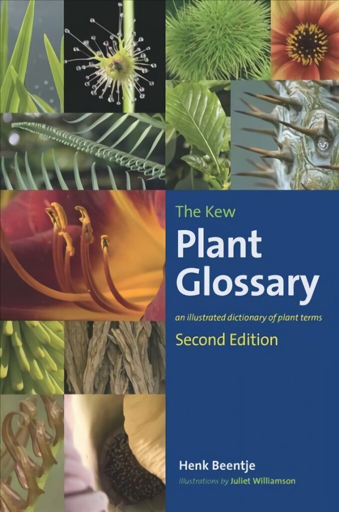 Kew Plant Glossary, The: Second Edition 2nd Revised edition cena un informācija | Grāmatas par veselīgu dzīvesveidu un uzturu | 220.lv