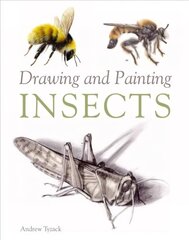 Drawing and Painting Insects цена и информация | Книги о питании и здоровом образе жизни | 220.lv