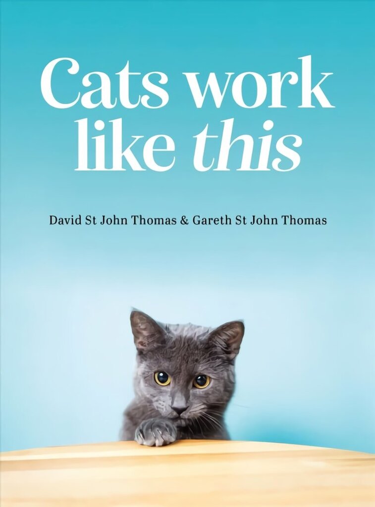 Cats Work Like This цена и информация | Grāmatas par veselīgu dzīvesveidu un uzturu | 220.lv