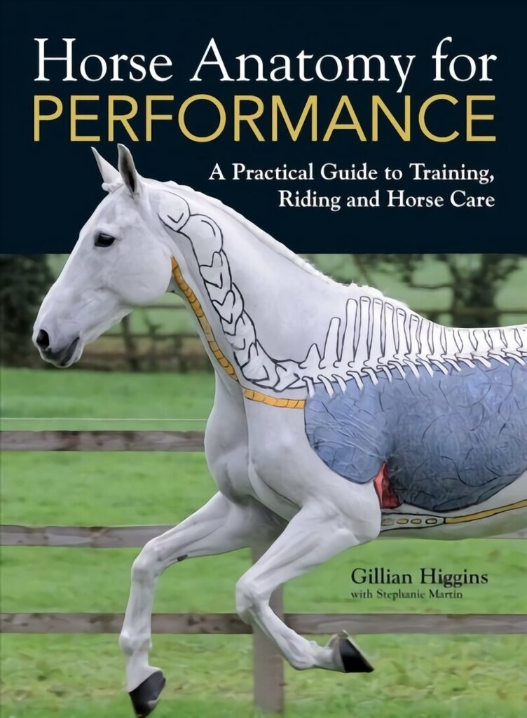 Horse Anatomy for Performance: A Practical Guide to Training, Riding and Horse Care cena un informācija | Grāmatas par veselīgu dzīvesveidu un uzturu | 220.lv