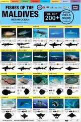 Maldives Fish Field Guide Top 200plus цена и информация | Энциклопедии, справочники | 220.lv