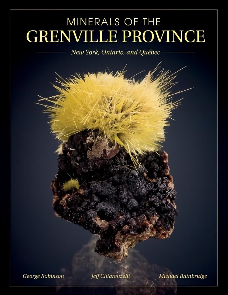 Minerals of the Grenville Province: New York, Ontario and Quebec: New York, Ontario, and QuA (c)bec cena un informācija | Ceļojumu apraksti, ceļveži | 220.lv