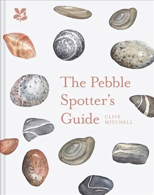 Pebble Spotter's Guide цена и информация | Grāmatas par veselīgu dzīvesveidu un uzturu | 220.lv