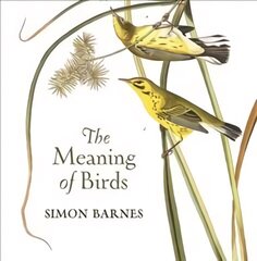 Meaning of Birds cena un informācija | Grāmatas par veselīgu dzīvesveidu un uzturu | 220.lv