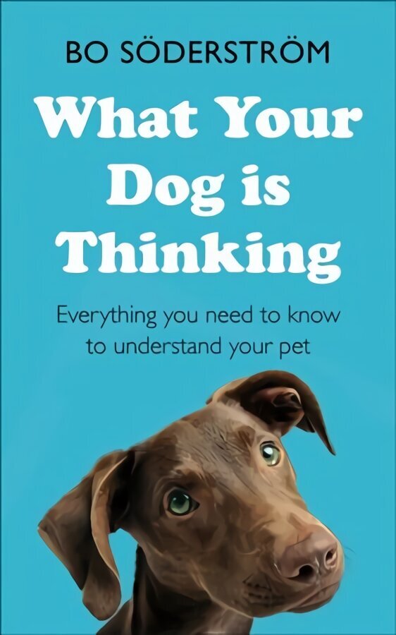 What Your Dog Is Thinking: Everything you need to know to understand your pet cena un informācija | Enciklopēdijas, uzziņu literatūra | 220.lv