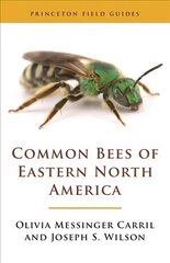 Common Bees of Eastern North America цена и информация | Книги о питании и здоровом образе жизни | 220.lv