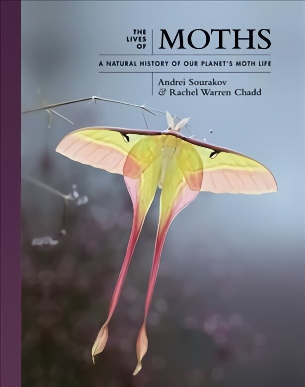 Lives of Moths: A Natural History of Our Planet's Moth Life cena un informācija | Grāmatas par veselīgu dzīvesveidu un uzturu | 220.lv