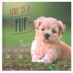 Love is a Pup: A Dog-Tastic Celebration of the World's Cutest Puppies цена и информация | Книги по фотографии | 220.lv