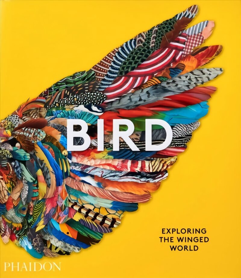 Bird, Exploring the Winged World цена и информация | Grāmatas par veselīgu dzīvesveidu un uzturu | 220.lv