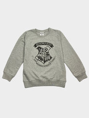 Детская толстовка Harry Potter цена и информация | Свитеры, жилетки, пиджаки для мальчиков | 220.lv