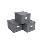 Saliekamās kastes ar vākiem SONGMICS RFB03G cena un informācija | Veļas grozi un mantu uzglabāšanas kastes | 220.lv