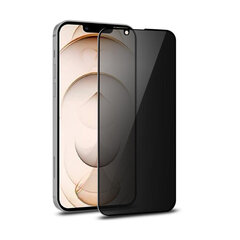 Anti-Spy Aizsargstikls (10D) priekš iPhone 13 Pro Max (6,7″) цена и информация | Защитные пленки для телефонов | 220.lv