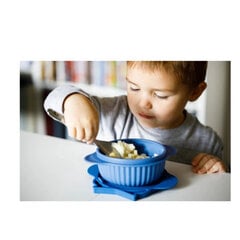 Миска с крышкой InnoGIO GIOFresh Owl, GIO-910, синяя цена и информация | Детская посуда, контейнеры для молока и еды | 220.lv